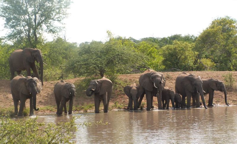 20041204061759.Afrika 0685